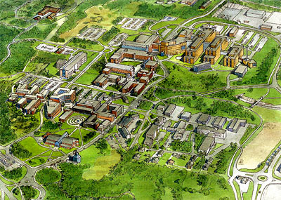 illustrasjon: Ole A. Krogness